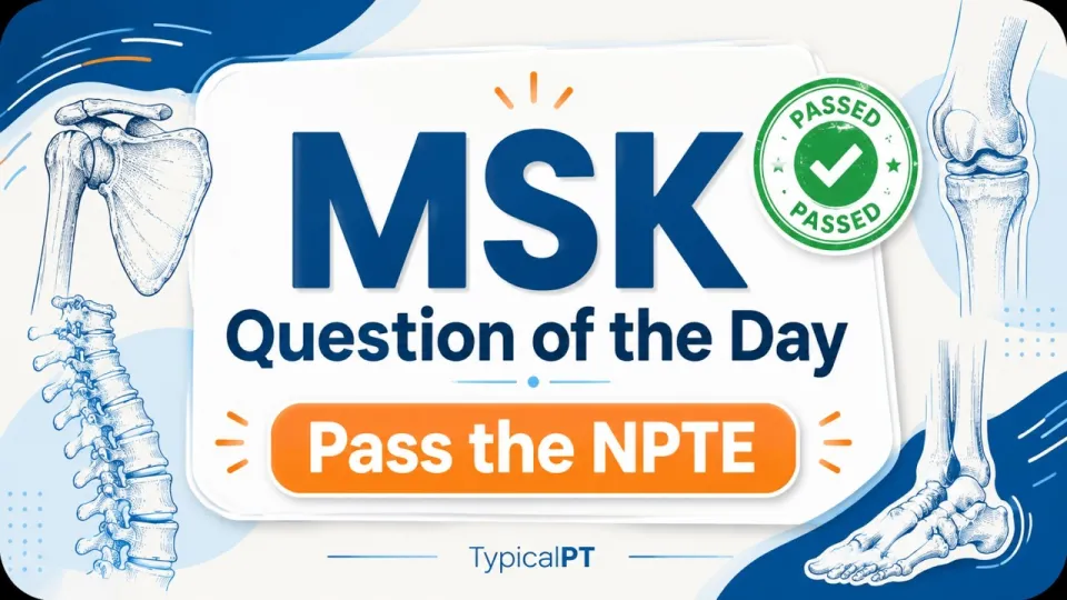 Free NPTE Practice Questions Explained What Makes the Best Choice for Effective Prep